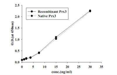 ELISA: Peroxiredoxin 3 ELISA Kit [HRP] [KA0531] - Native human Prx3 from HeLa cell lysate was serially diluted in Standard/Sample dilution buffer. The optical density of each dilution was plotted against the ecombinant human Prx3 standard curve.